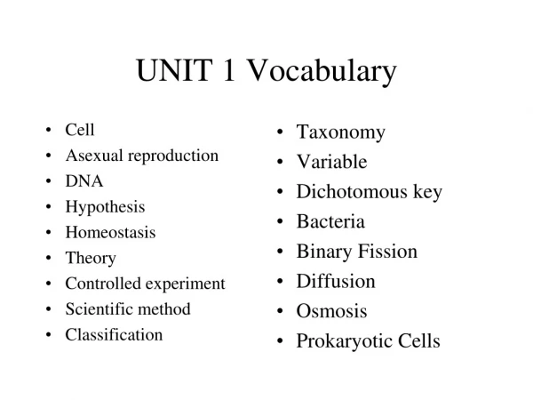 UNIT 1 Vocabulary