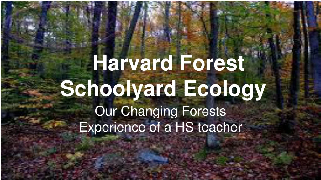 harvard forest schoolyard ecology