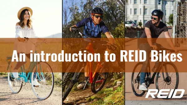 An introduction to REID Bikes