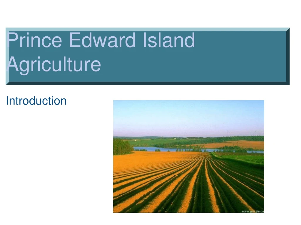 prince edward island agriculture