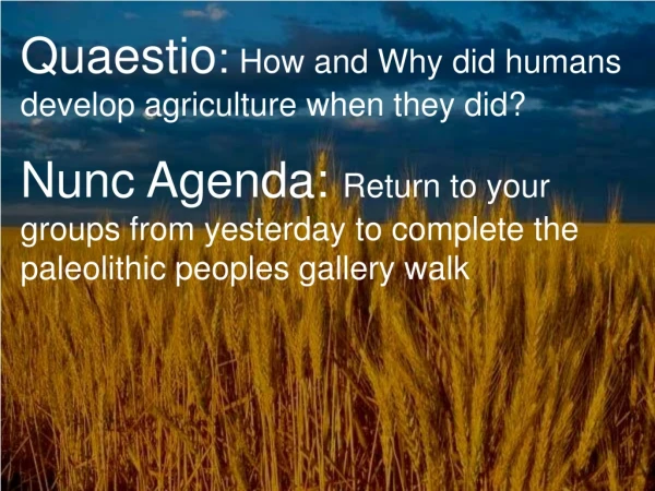 Quaestio : How and Why did humans develop agriculture when they did?