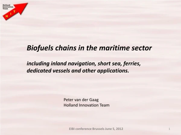 Biofuels chains in the maritime sector