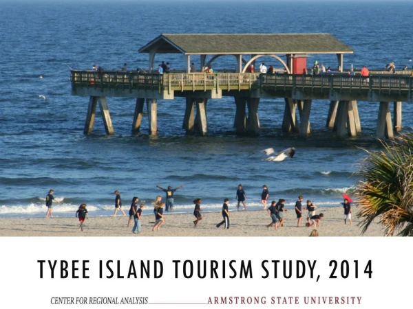 Tybee island Tourism study, 2014