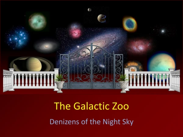 The Galactic Zoo