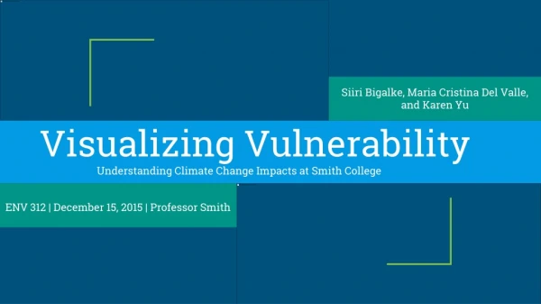 Visualizing Vulnerability