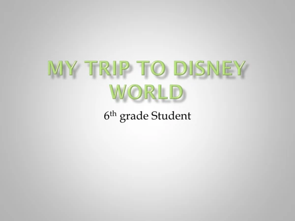 My Trip To Disney World