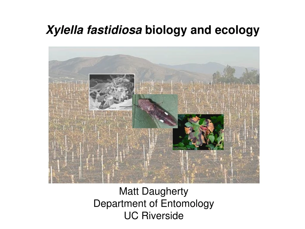 xylella fastidiosa biology and ecology