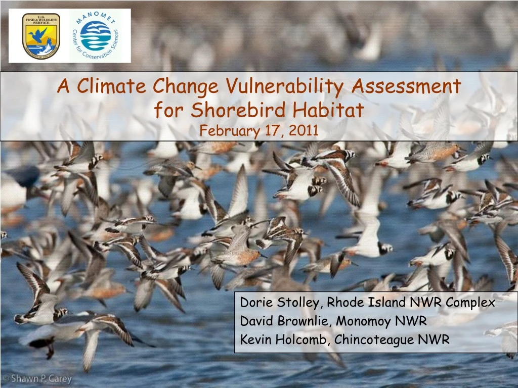 a climate change vulnerability assessment for shorebird habitat february 17 2011