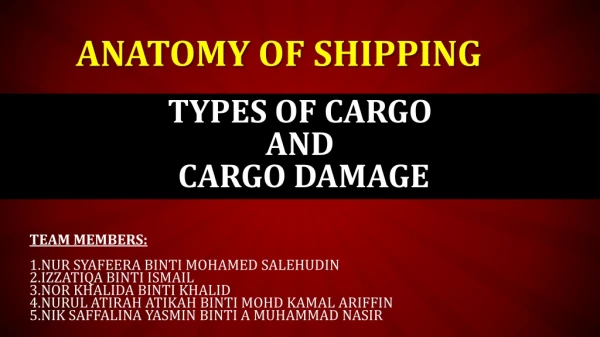 TYPES OF CARGO AND CARGO DAMAGE