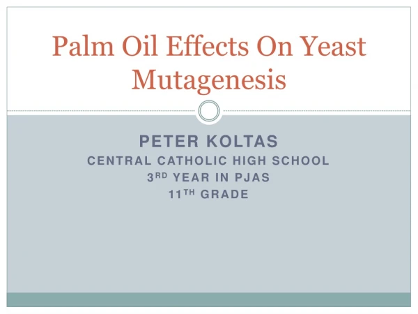 Palm Oil Effects On Yeast Mutagenesis