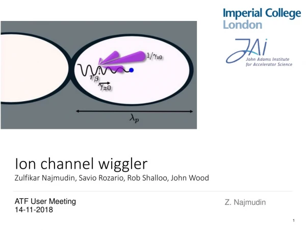 Ion channel wiggler Zulfikar Najmudin, Savio Rozario , Rob Shalloo , John Wood