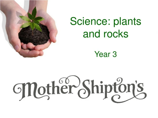Science: plants and rocks Year 3