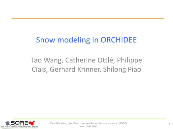 Snow modeling in ORCHIDEE