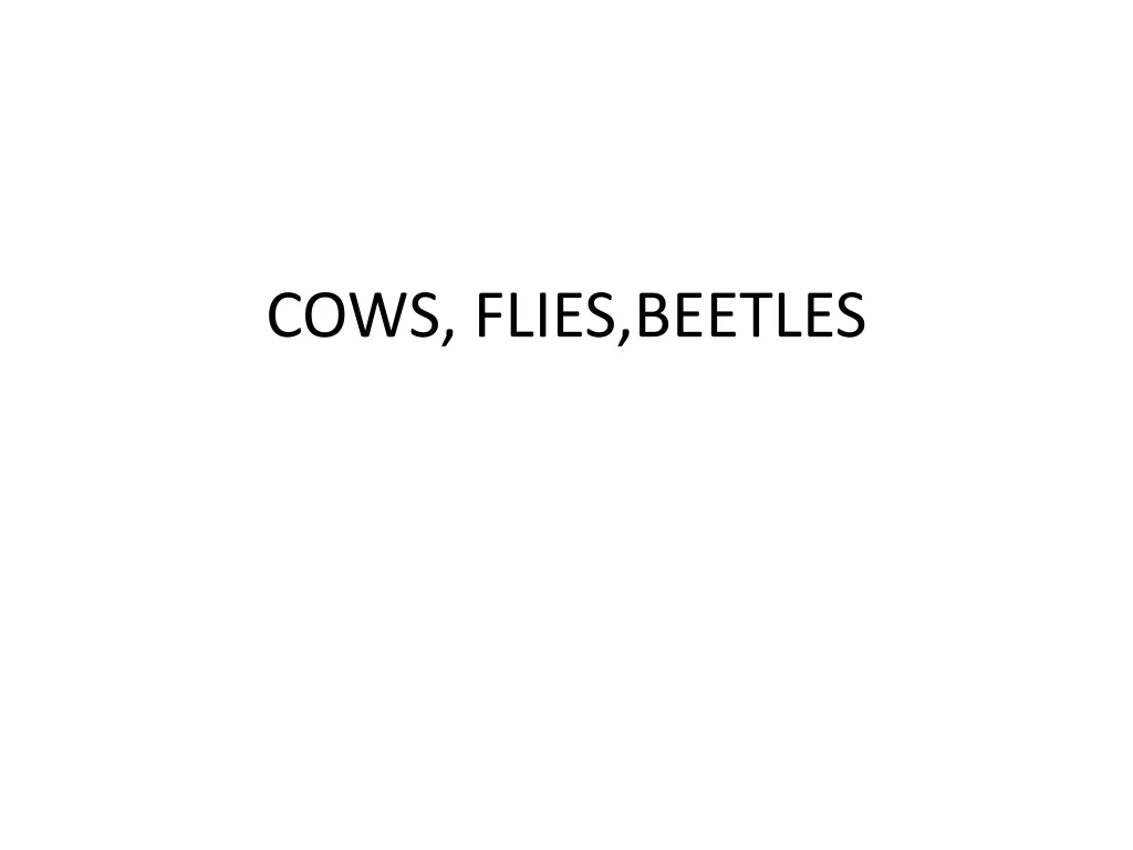 cows flies beetles