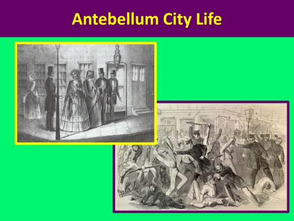 Antebellum City Life