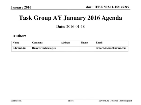 Task Group AY January 2016 Agenda