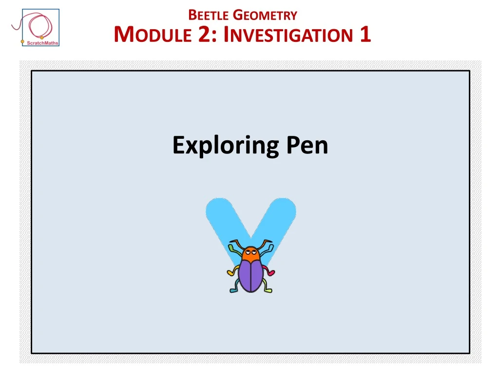 beetle geometry module 2 i nvestigation 1