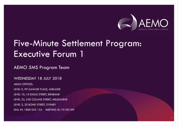 Five-Minute Settlement Program: Executive Forum 1