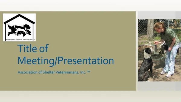 Title of Meeting/Presentation