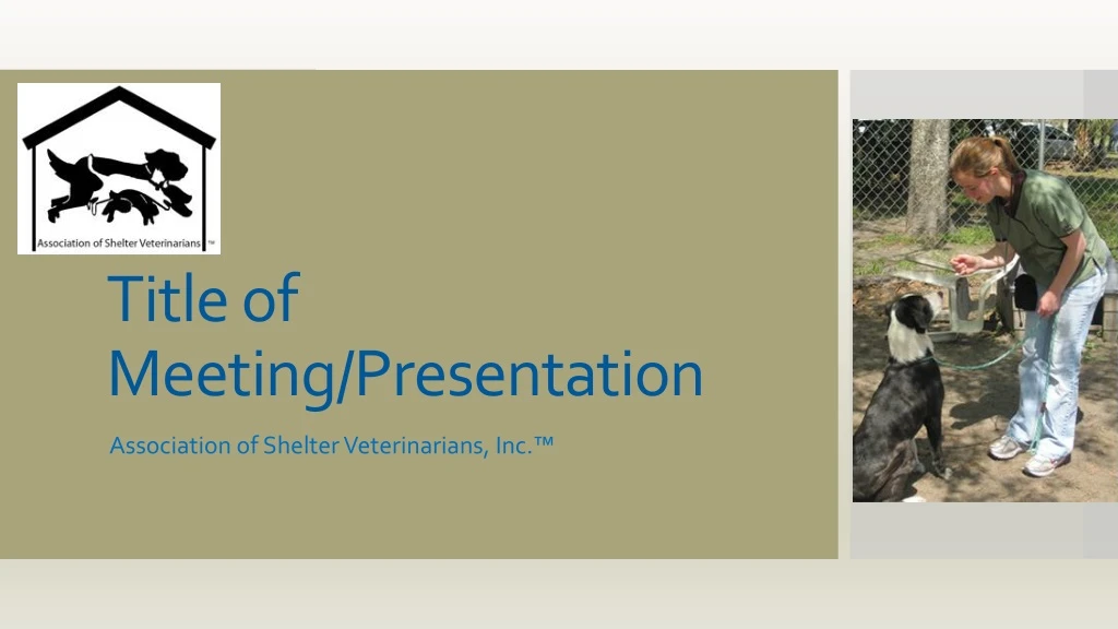 title of meeting presentation