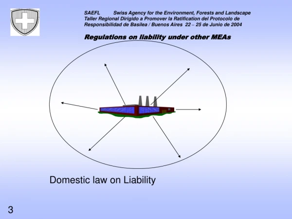 Domestic law on Liability