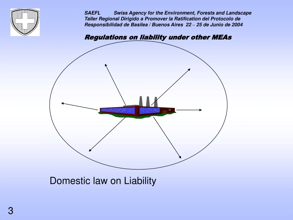 domestic law on liability