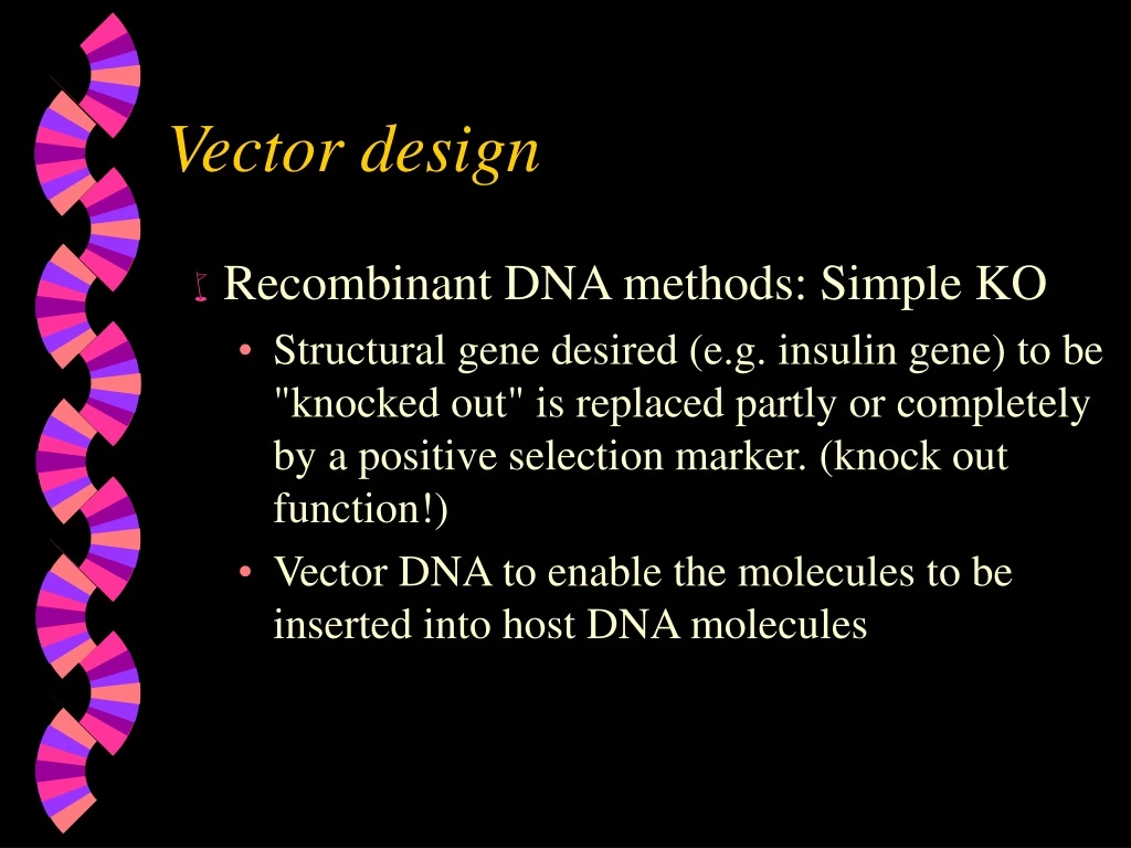 vector design