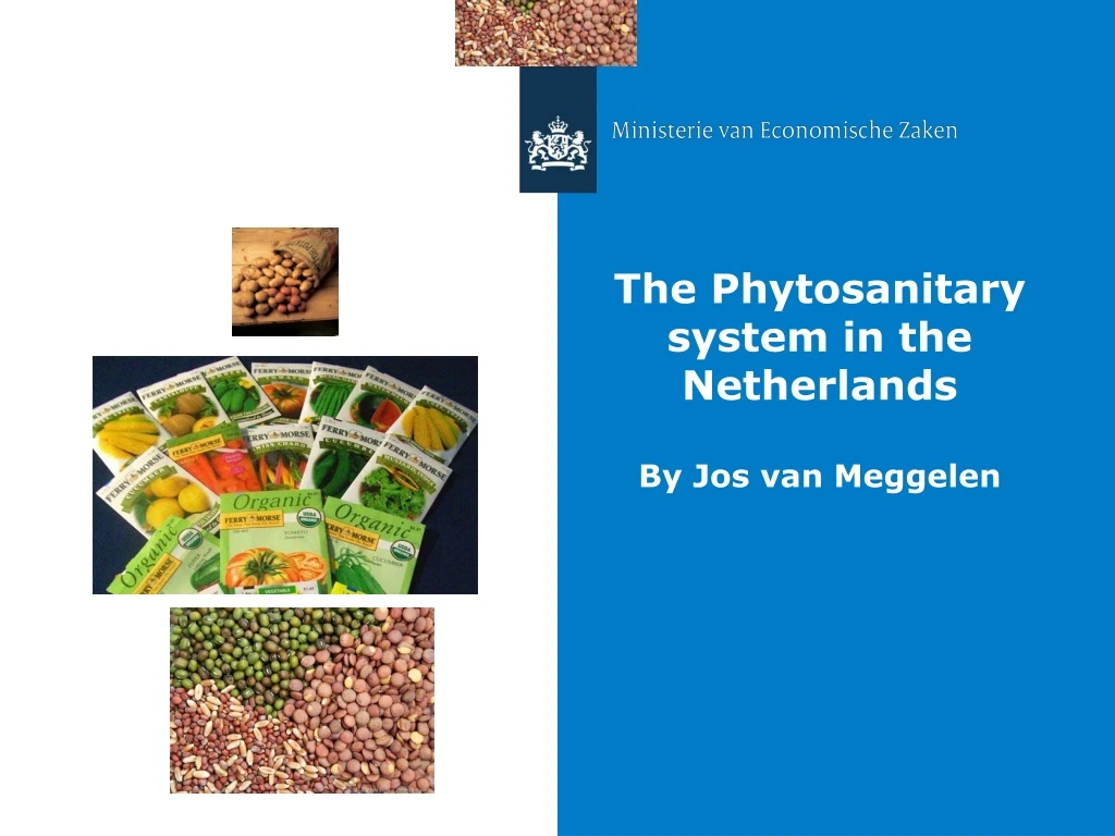 the phytosanitary system in the netherlands by jos van meggelen