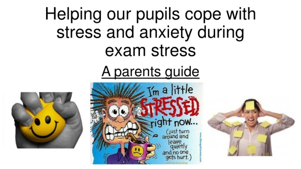 Helping our pupils cope with stress and anxiety during exam stress