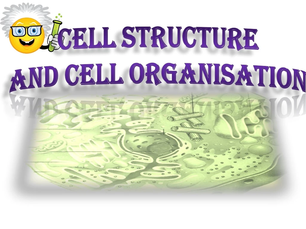 cell structure and cell organisation