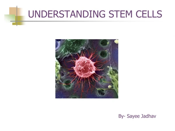 UNDERSTANDING STEM CELLS