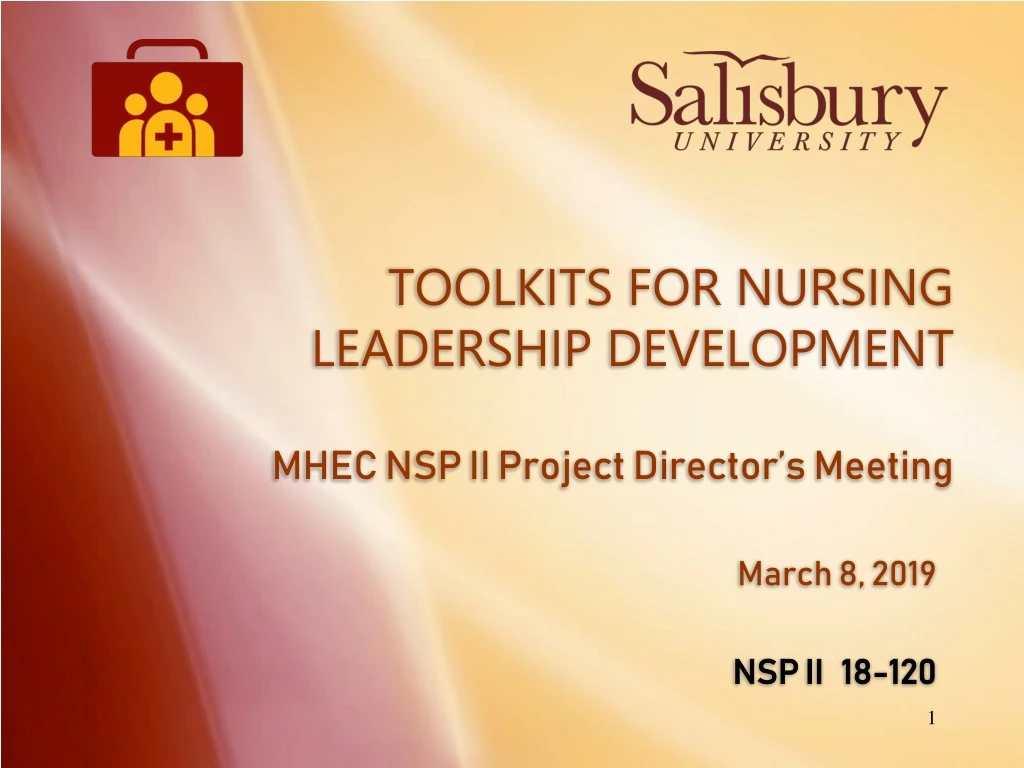 toolkits for nursing leadership development mhec nsp ii project director s meeting