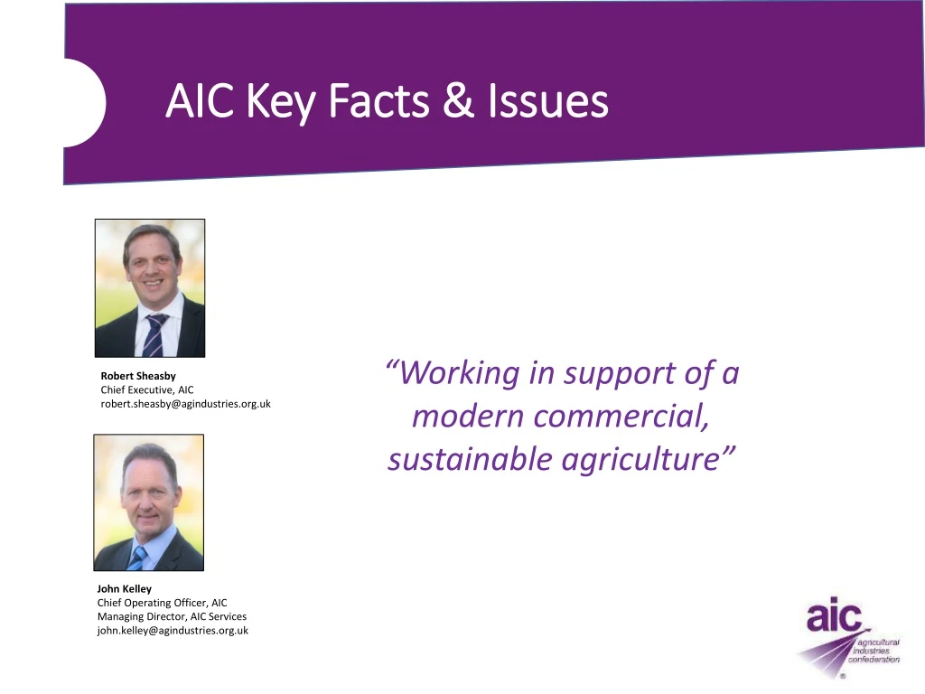 aic key facts issues
