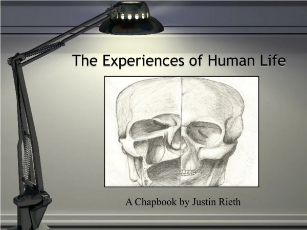 The Experiences of Human Life