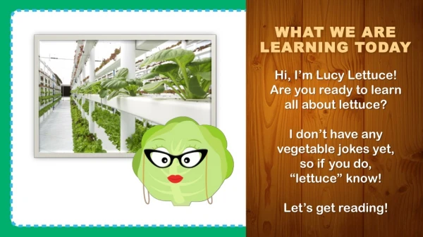 Hi, I’m Lucy Lettuce! Are you ready to learn all about lettuce?