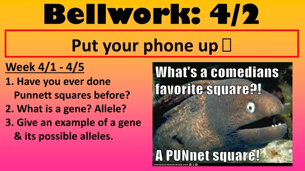 bellwork 4 2