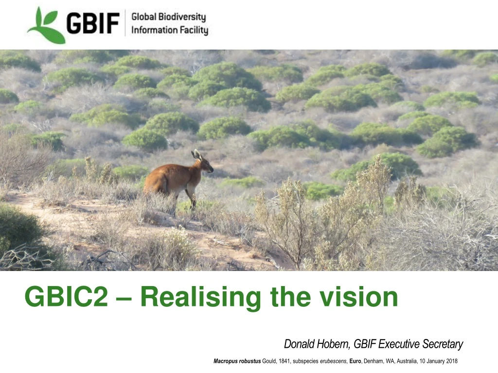gbic2 realising the vision