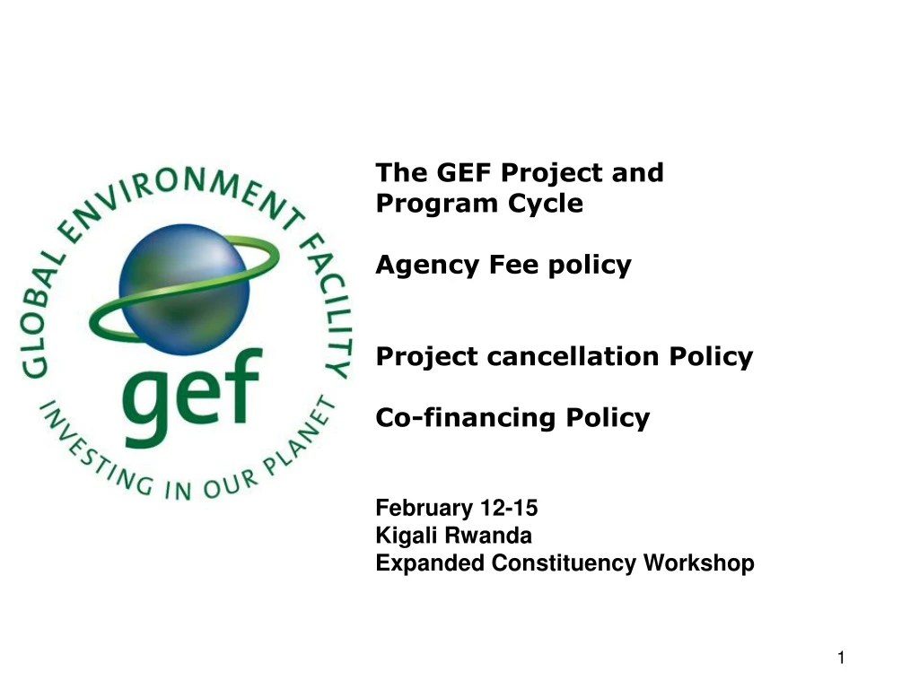 the gef project and program cycle agency