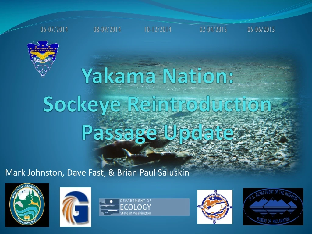 yakama nation sockeye reintroduction passage update