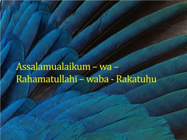 Assalamualaikum – wa – Rahamatullahi – waba - Rakatuhu