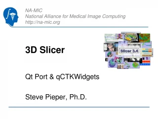 Enhancing 3D Slicer with Qt-based Widgets - slide 1