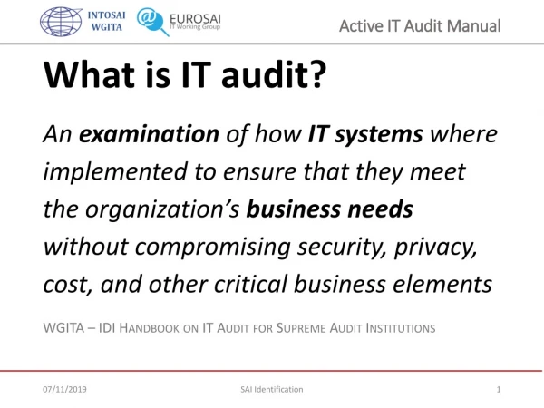 What is IT audit ?