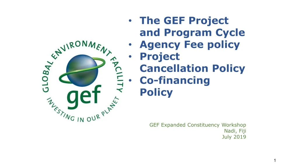 the gef project and program cycle agency