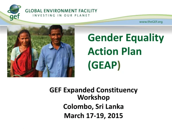Gender Equality Action Plan ( GEAP )