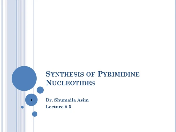 Synthesis of Pyrimidine Nucleotides