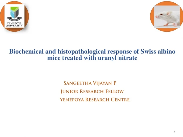 Biochemical and histopathological response of Swiss albino mice treated with uranyl nitrate