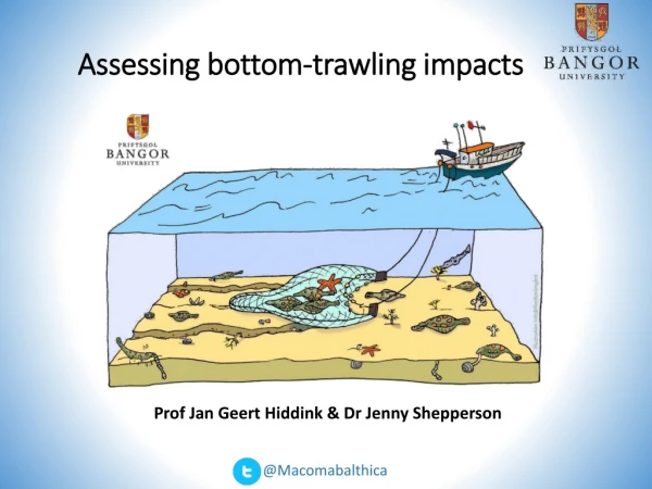 Assessing bottom-trawling impacts