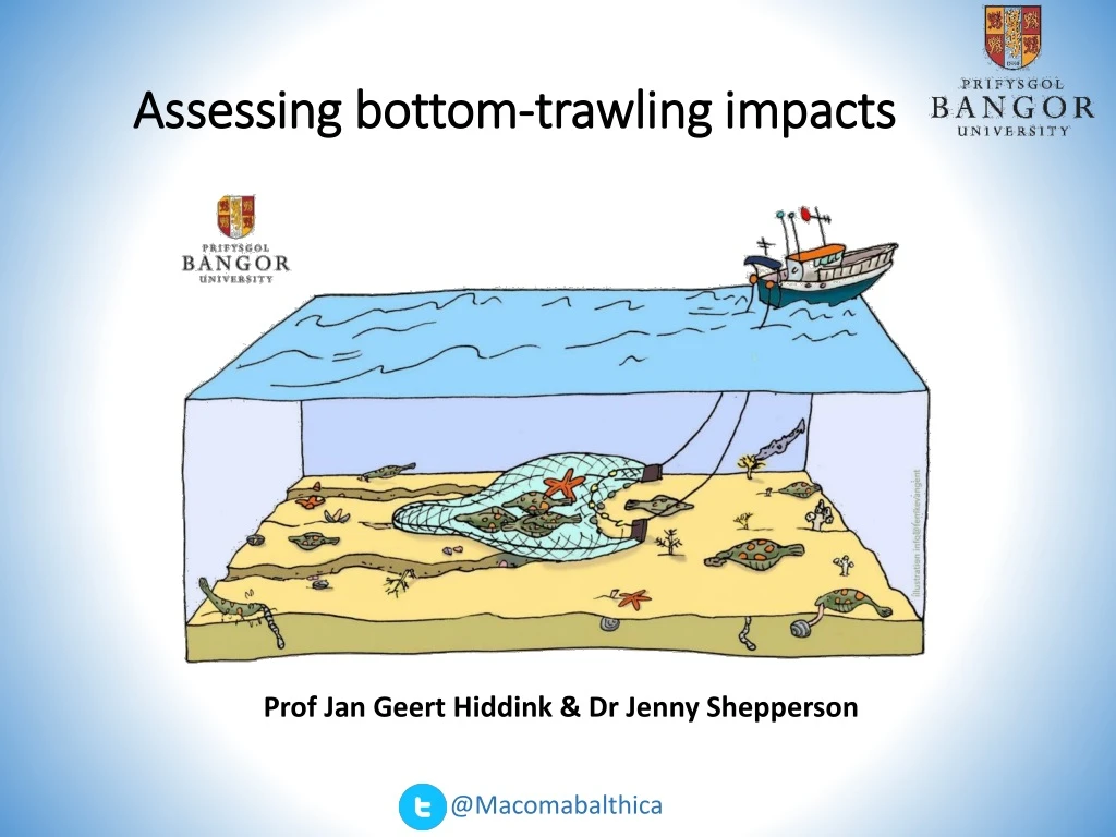 assessing bottom trawling impacts