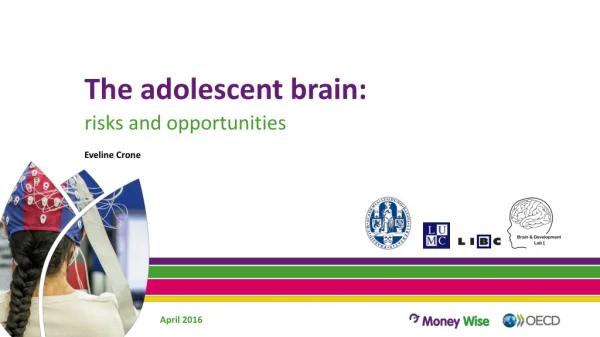 The adolescent brain: