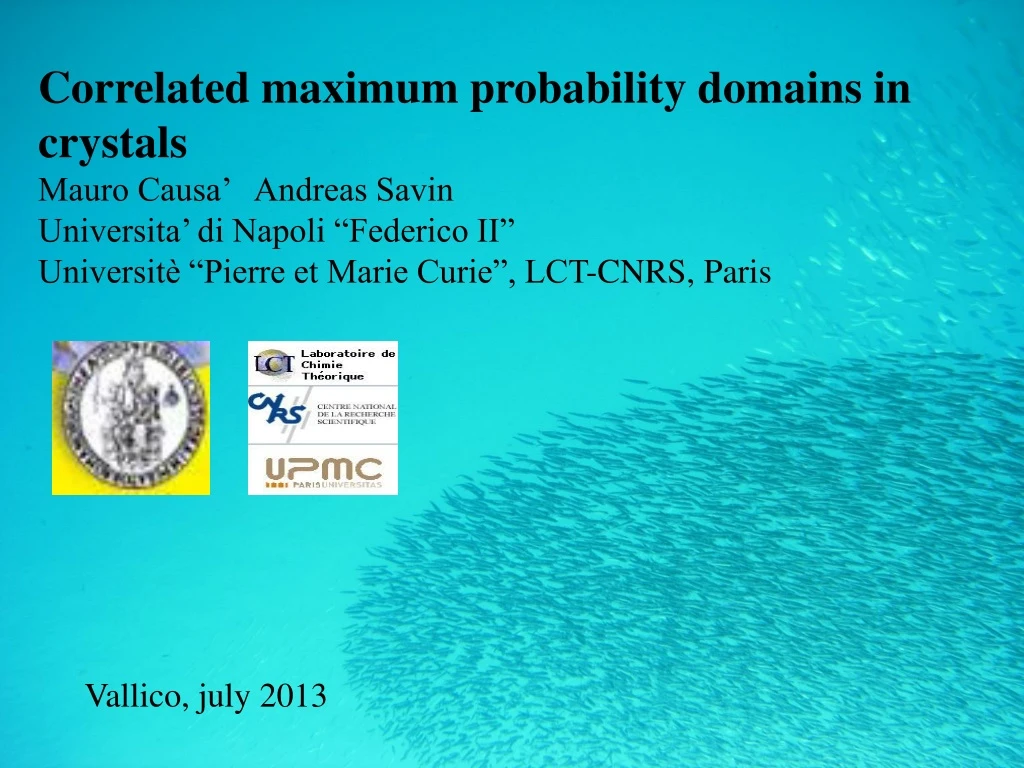 correlated maximum probability domains